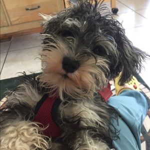 Meet your Posher, Eui suk